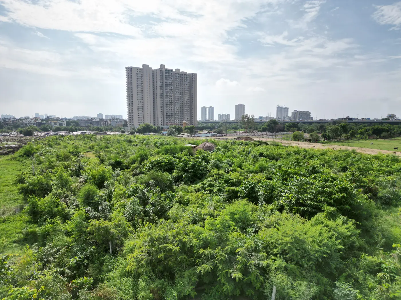 Earth Day plantation drive